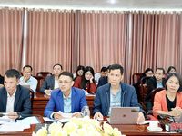 Triển khai 4.000 ha sản xuất lúa giảm phát thải, tạo tín chỉ Carbon