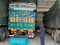 Chùm ảnh: Hải quan gỡ khó thủ tục cho hàng thực phẩm nhập khẩu