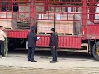 Chùm ảnh: Hải quan gỡ khó thủ tục cho hàng thực phẩm nhập khẩu