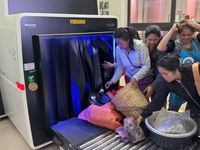 Các cửa khẩu trên địa bàn tỉnh làm việc xuyên Tết, thông quan nhanh chóng hàng hóa xuất nhập khẩu