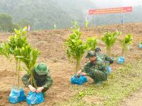 Cục Quân khí phát động 'Tết trồng cây đời đời nhớ ơn Bác Hồ' tại xã Yên Thọ