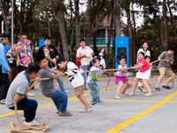 Xuyên Tết vẫn tấp nập: Cần Giờ chứng minh sức hút của 'thiên đường du lịch mới' sôi động 365 ngày