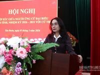 Ứng cử viên đại biểu HĐND tỉnh tiếp xúc cử tri xã Tân Đoàn và Văn Quan