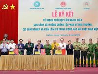 Chuyển biến trong kiểm tra, xử lý vi phạm về động vật hoang dã và nguồn lợi thủy sản