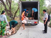 Chung tay 'giải cứu' hàng trăm tấn bí đỏ tồn đọng của bà con nông dân Đá Bạc