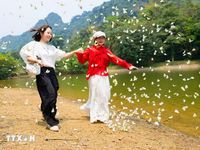 Cúc Phương rập rờn những cánh bướm đầu mùa, du khách đổ về trải nghiệm