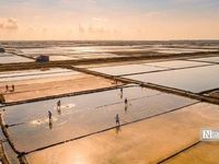 Theo chân diêm dân 'nuôi' muối giữa nắng, gió và mồ hôi