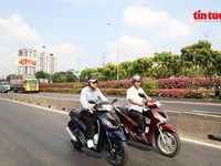 Hoa giấy phủ sắc rực rỡ trên nhiều tuyến đường cửa ngõ TP Hồ Chí Minh