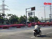 Hoa giấy phủ sắc rực rỡ trên nhiều tuyến đường cửa ngõ TP Hồ Chí Minh