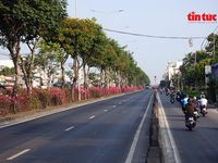 Hoa giấy phủ sắc rực rỡ trên nhiều tuyến đường cửa ngõ TP Hồ Chí Minh