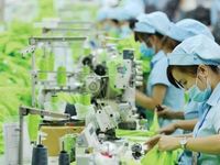 Ngành dệt may tăng tốc chuyển đổi số để nâng cao sức cạnh tranh