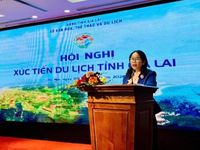 Đưa Gia Lai trở thành điểm đến nổi bật trên bản đồ du lịch