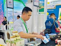 VITM 2026: Gia Lai đưa 'đại ngàn, biển xanh' vươn ra thế giới