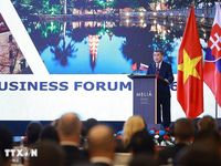 Thủ tướng Lê Minh Hưng dự Diễn đàn doanh nghiệp Slovakia-Việt Nam