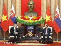 Tổng Bí thư, Chủ tịch nước Tô Lâm tiếp Thủ tướng Slovakia
