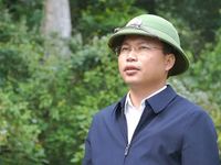 Khơi thông nguồn lực từ tín chỉ carbon rừng