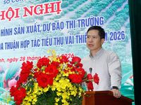 Bắc Ninh mở rộng tiêu thụ vải thiều vụ 2026