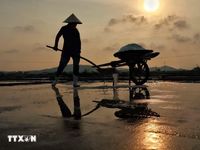 Giữ vị mặn giữa nắng gió miền Trung