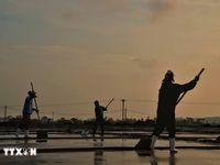 Giữ vị mặn giữa nắng gió miền Trung