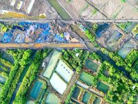 Cà Mau chỉ đạo khắc phục hậu quả môi trường vụ cây trồng, cá nuôi chết hàng loạt
