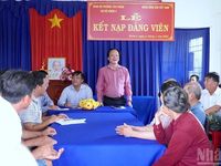Cà Mau chỉ đạo khắc phục hậu quả môi trường vụ cây trồng, cá nuôi chết hàng loạt