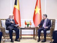 Thủ tướng Lê Minh Hưng gặp lãnh đạo các nước nhân tham dự Hội nghị Cấp cao ASEAN