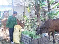 An Lão ưu tiên nguồn lực cho công tác giảm nghèo