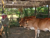 An Lão ưu tiên nguồn lực cho công tác giảm nghèo