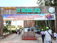 Chạy bộ xuyên rừng, bơi xuồng ba lá ở Hương rừng U Minh