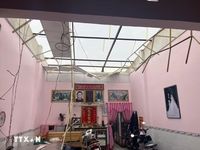 Đồng Tháp: Dông lốc làm sập và tốc mái gần 50 căn nhà
