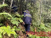 Hơn 300 người ngày đêm vào rừng Nặm Ký tìm người mất tích