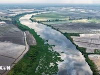 Tây Ninh: Sông Vàm Cỏ Đông bị ô nhiễm nghiêm trọng