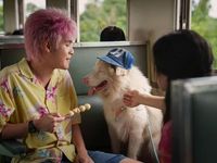 Siêu phẩm điện ảnh về chú chó Gohan gây sốt phòng vé Việt