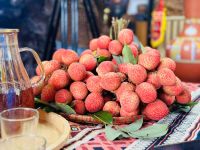 Bắc Ninh: Phó Chủ tịch tỉnh livetream bán vải 'hút' hơn 20.000 người xem