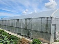 Ứng dụng công nghệ cao, nâng tầm giá trị nông sản sạch