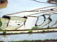 Lai Châu: Chiêm ngưỡng vẻ đẹp ruộng bậc thang mùa nước đổ
