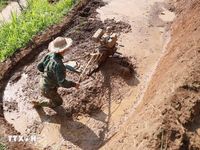 Lai Châu: Chiêm ngưỡng vẻ đẹp ruộng bậc thang mùa nước đổ