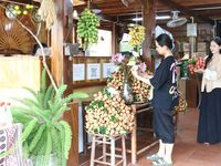 Vườn vải đẹp Bắc Ninh hút khách mùa quả chín