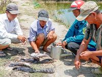Vị thế địa đầu cực Nam - Bài 3: Xây dựng nền hành chính minh bạch, vì dân