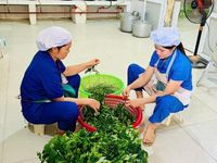 Nỗ lực nâng cao chất lượng dinh dưỡng học đường tại Trường Mầm non Linh Sơn