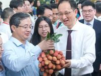 Bắc Ninh thúc đẩy chuỗi liên kết, nâng cao giá trị vải thiều
