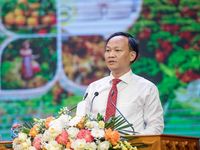 Bắc Ninh: Thúc đẩy chuỗi liên kết, nâng cao giá trị vải thiều và nông sản OCOP
