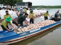 Hơn 100 tấn cá bè trên hồ Trị An bất ngờ chết hàng loạt