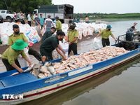 Đồng Nai: Hơn 100 tấn cá chết nổi trắng các lồng bè trên mặt hồ Trị An