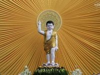 Huế: Trang nghiêm cử hành Đại lễ Phật đản Phật lịch 2570 tại chùa Từ Đàm lịch sử