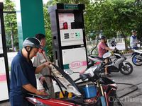 TP. Hồ Chí Minh đồng loạt chuyển sang kinh doanh xăng sinh học E10
