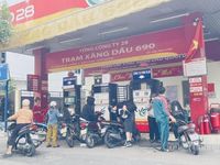 TP. Hồ Chí Minh đồng loạt chuyển sang kinh doanh xăng sinh học E10