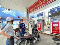 TP. Hồ Chí Minh đồng loạt chuyển sang kinh doanh xăng sinh học E10