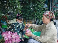 Hương sen gọi mùa