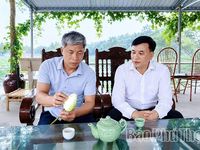Hương sen gọi mùa